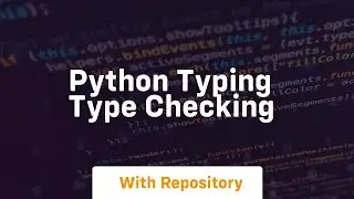 python typing type checking