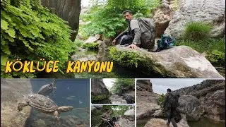 SU KAPLUMBAĞALARI / KÖKLÜCE KANYONUN DA 1 GÜN GEÇİRDİK
