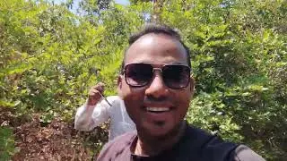 jungle blog #trendingvideo#vairalvideo  #blog #jungle #jungal #amzingfacts #adventure