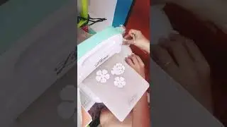 Die cut flowers