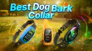 Best Dog Bark Collar 2025 | Top 5 Models You Must See!
