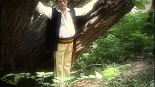 Ion Dolanescu - Are tata doi feciori