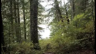 Talapus Lake Trail 2020
