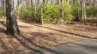 Claytor lake state park va camping spot 1