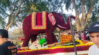 (Lalbagh Botanical Garden Bengaluru Karnataka Big Flower Show Amazing Art Official Video Circle 320)