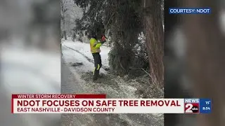 NDOT focuses on safe tree removal