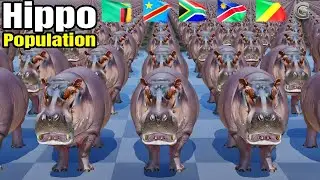 Hippopotamus Population by Country 2025 | Comparison Video