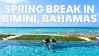 SENIOR SPRING BREAK
