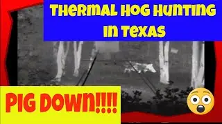 Thermal Hog hunting in Texas: Pig Down!!