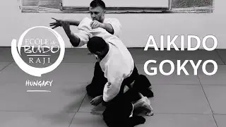 GOKYO - AIKIDO OSAE WAZA #5 - Gollob Szabolcs & Uj Tamás