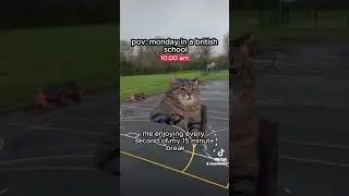 #notspam #funnymemes