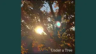Under a Tree (Golden master)