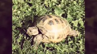 Вот что бывает в школе