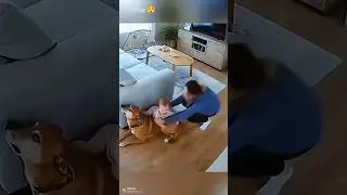 #trending #funny #viral #comedy #yotubeshorts #dogs #reels #death