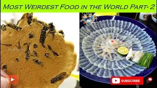 Most Weirdest Food in the World | Part- 2 | தமிழ் | Mr Abilash YT | #Shorts