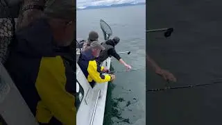 King Salmon fishing Homer, Alaska.