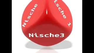 Nischenfindung 150610