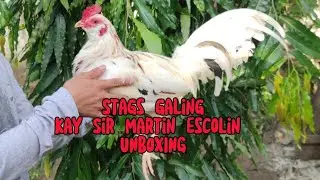 Unboxing ng Order natin na Stags galing kay Sir Martin Escolin