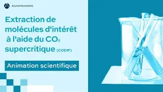 Extraction de mol&eacute;cules d'int&eacute;r&ecirc;t &agrave; l'aide du CO2 supercritique (CODIF)