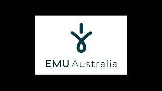 Australian shoe brands🤙🇦🇺