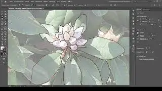 We'll redraw the image using the Pen tool in Adobe Illustrator.