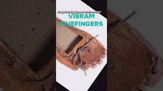 Daily shoe inspo / VIBRAM FIVEFINGERS