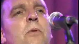 Celtic song - yew tree