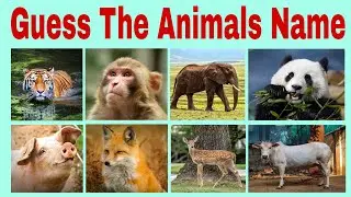 Guess The Animals Name 🤔😀 || Quiz video || Quiz Hub || Quiz || Best Quiz || #viral #trending #quiz 