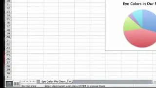 Displaying Qualitative Data on Excel for Mac