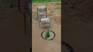 New Primitive Parrot Trap Design - Unique Making Bird Trap Technique #shortvideo #shorts #ytshorts