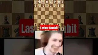 Lasker Gambit #chess #brilliantmove #chesstraps #shorts