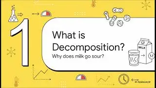 AQA GCSE Biology Required Practical Activity 10 - Rate of Decay