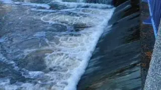 Thunder Bay Steelhead Run 2016