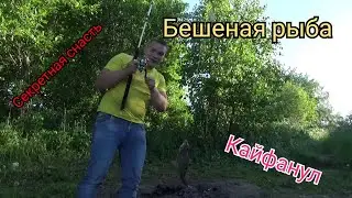 Рыбалка удалась. Фидер