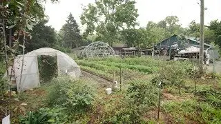 Roots and Fruits Market in Black Mountain, NC | North Carolina Weekend | UNC-TV