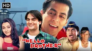 Hello Brother Full Movie Facts And Review / Bollywood Movie / Full Explaination / Salman Khan