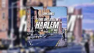 Jim Jones - This Sh!t Still In Harlem (Instrumental) (Harlem Challenge)