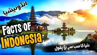 Indonesia Ke 10 Dilchasp Baatein | Komodo Dragon, Blue Lava aur Chawal | Facts about Indonesia 