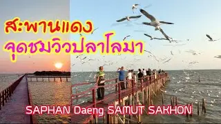 สะพานแดงจุดชมวิวปลาโลมา-บางขุนเทียนพระราม2. Saphan Daeng Samut Sakhon.