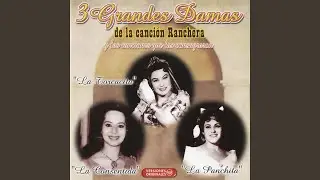 Mi Único Camino