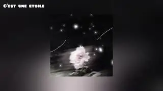 Luccin Ronn - C'est une &eacute;toile(Audio officiel)[Musique Gabonaise]