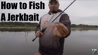Lake Fork Bass Fishing: Jerkbait Tips and Techniques