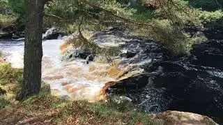 Lowforce Teesdale Newbiggin