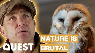 Vinnie Jones Rescues Baby Owl Chicks | Vinnie Jones In The Country
