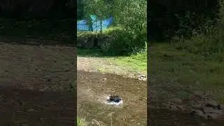 Преодоление водных преград на HUMMER #offroad #rccar #trial #humvee #брод #горнаярека
