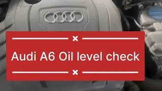 Audi A6 Oil Level check 