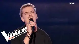 Adrien Fruit - « Chatelet – Les Halles » (Florent Pagny) | The Voice 2017 | Blind Audition
