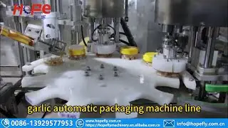 garlic automatic packaging machine line