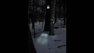 cashmere cat (feat. the weeknd & francis and the lights) - wild love [slowed + reverb]