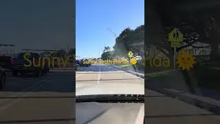Driving in Florida #driving #shortsfeed #youtubeshorts